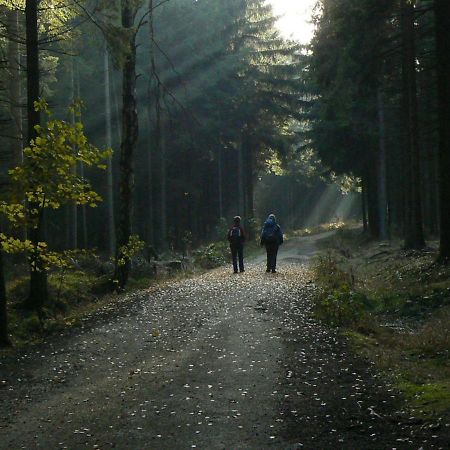 Zimmervermietung-Heide-Fiege Hartmannsdorf bei Chemnitz Ngoại thất bức ảnh